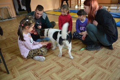 TOP5  dolnośląskich schronisk dla bezdomnych zwierząt - wygrywa Schronisko Fundacji Centaurus w Szczedrzykowicach - 7