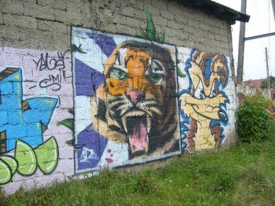 Grafficiarze proszą: pozwólcie nam legalnie malować! (Zobacz) - Graffiti w Dzierżoniowie: sztuka czy bazgroły? (Fot. Agnieszka Szymkiewicz / Radio Wrocław)