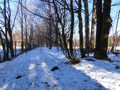 Kto usunie swastyki z pomnika ofiar I wojny światowej w Karpaczu? - 7