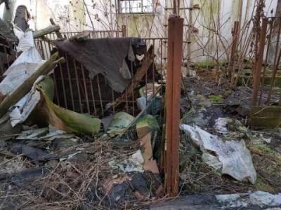 Policja w hodowli psów pod Oleśnicą. Zwierzęta żyły w skandalicznych warunkach (ZDJĘCIA) - 2