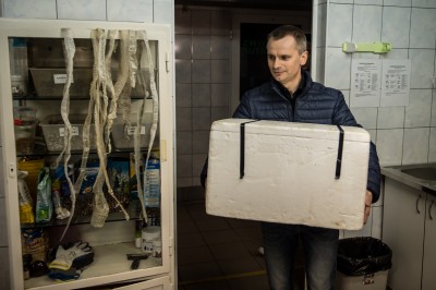 Ma imię "Pysia", waży 6 kilogramów i właśnie wprowadziła się do Wrocławia [GALERIA] - 2