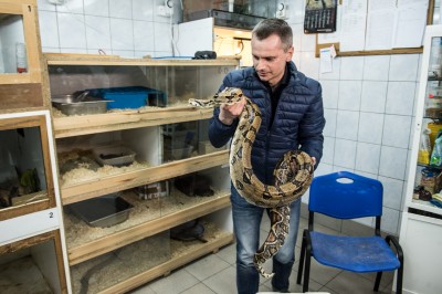 Ma imię "Pysia", waży 6 kilogramów i właśnie wprowadziła się do Wrocławia [GALERIA] - 3