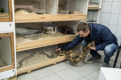 Ma imię "Pysia", waży 6 kilogramów i właśnie wprowadziła się do Wrocławia [GALERIA] - 4