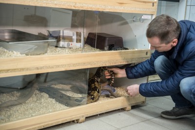 Ma imię "Pysia", waży 6 kilogramów i właśnie wprowadziła się do Wrocławia [GALERIA] - 5