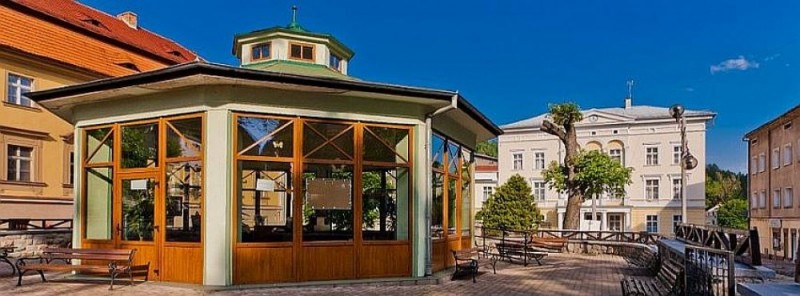 Jedlina-Zdrój: Robią wszystko, by do uzdrowiska wjeżdżało mniej aut - fot. Facebook
