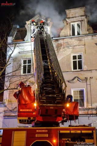 9 zastępów straży pożarnej gasiło pożar na Psim Polu [ZDJĘCIA] - 6
