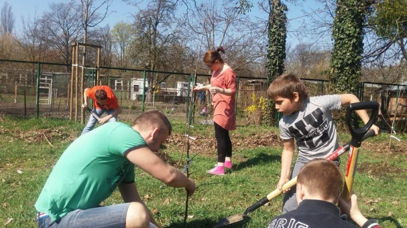 We Wrocławiu sadzą sobie sad [FOTO]  - 