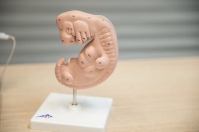 Konkurs Naukowy E(x)plory: Młodzi naukowcy zachwycili Wrocław [WYNIKI, GALERIA] - 10