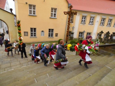 17-metrowe palmy wielkanocne w kościele w Chełmsku Śląskim - 10