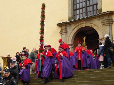 17-metrowe palmy wielkanocne w kościele w Chełmsku Śląskim - 11
