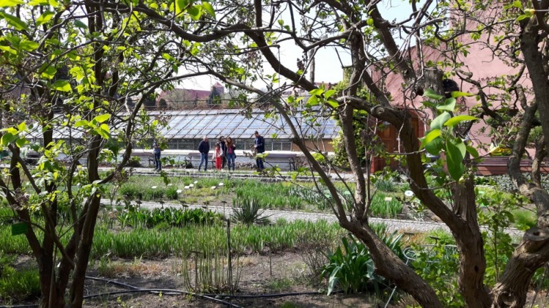 Goście w Ogrodzie Botanicznym we Wrocławiu -
