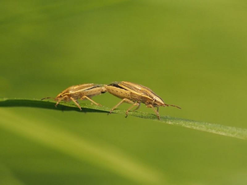 Pogoda: Dziś do 23°C - 