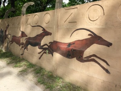 Internauci chcą ratować mural na ogrodzeniu wrocławskiego ZOO - 18