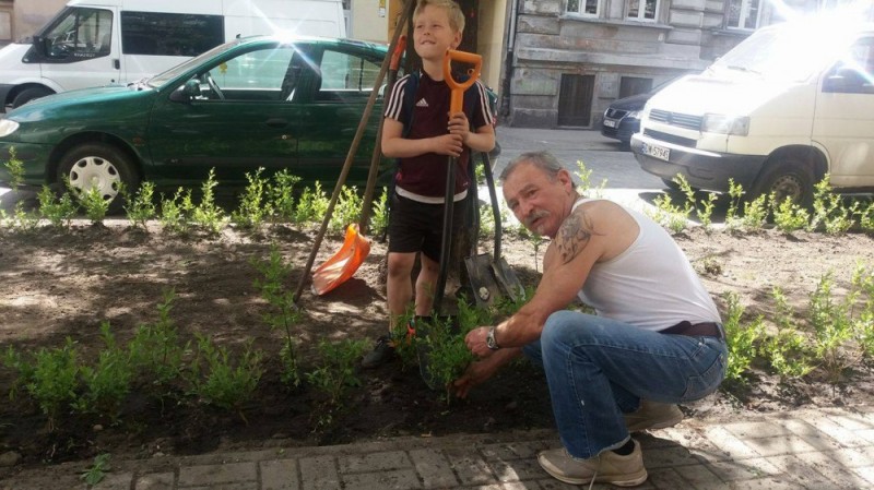 Wrocław: Tysiąc krzewów na Nadodrzu [ZOBACZ] - fot. Elżbieta Osowicz