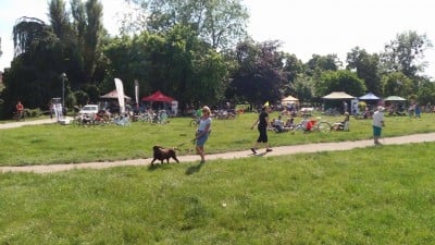 Wrocławskie Święto Rowerzysty [ZOBACZ] - 10