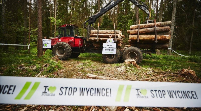 Happening ws. Puszczy Białowieskiej na wrocławskim rynku - 