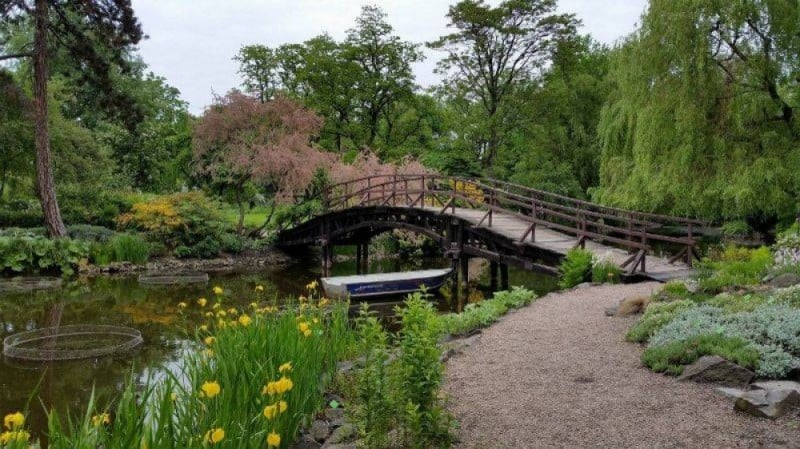 Ogród Botaniczny zaprasza na spacer ze specjalistą - fot. Facebook