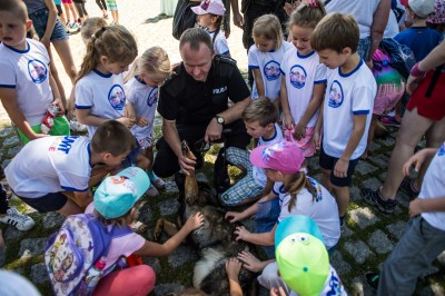 Kręci mnie bezpieczeństwo na Wyspie Słodowej - 1