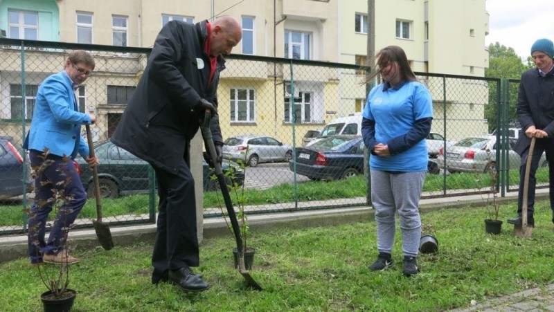 Dotleniamy Wrocław: Posadzili 2000 drzew i krzewów - fot. mat. prasowe
