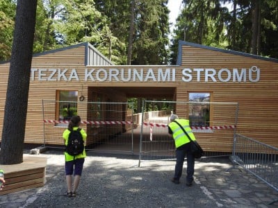 Ścieżka w Koronach Drzew za 170 milionów - 1