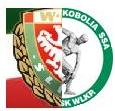 Decyzja zapadła. Śląsk Wrocław łączy się z Groclinem Grodzisk (Posłuchaj) - 0