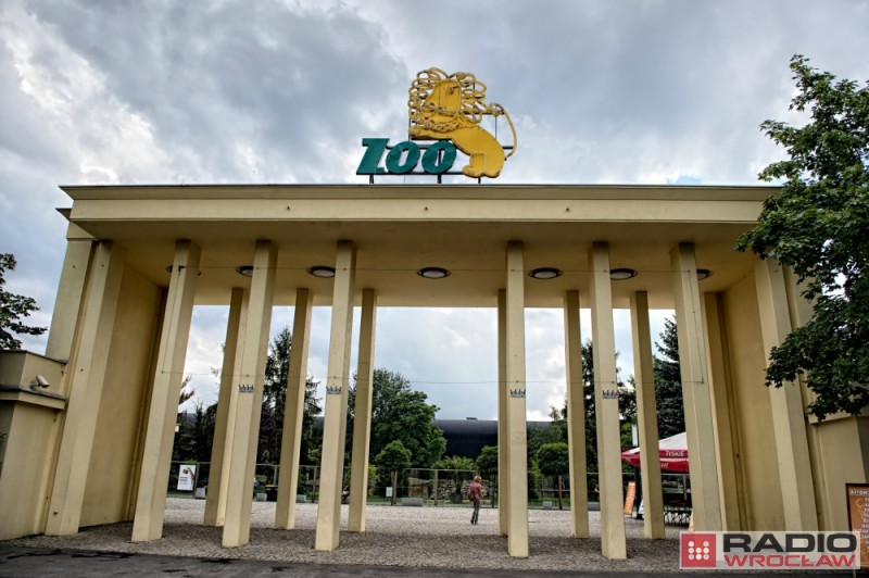 Jedziesz do ZOO we Wrocławiu? Masz darmowy parking - fot. Andrzej Owczarek