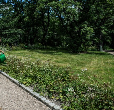 Ogród Botaniczny we Wrocławiu podlewany... konewkami [FOTO] - 0