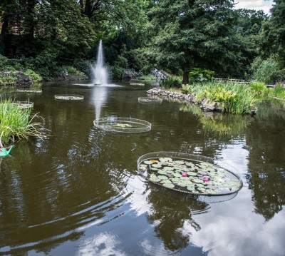 Ogród Botaniczny we Wrocławiu podlewany... konewkami [FOTO] - 1