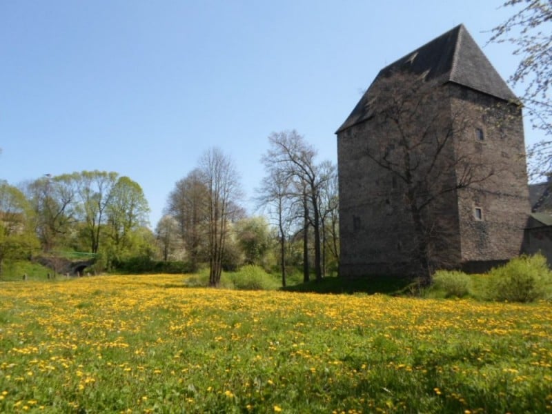Leczą stres bojowy przy pracach archeologicznych  - 