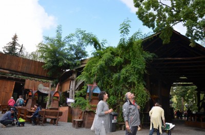 24. Folklorum – Festiwal Turisedyjski - 1