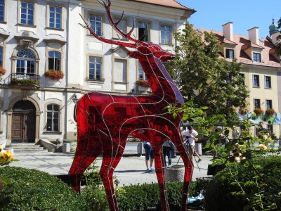 Jelonek dla Jeleniej Góry [FOTO] - 2