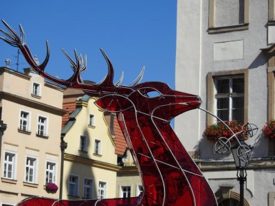 Jelonek dla Jeleniej Góry [FOTO] - 4