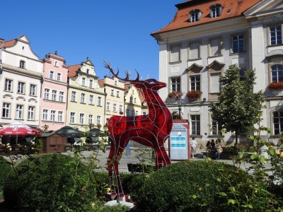 Jelonek dla Jeleniej Góry [FOTO] - 5