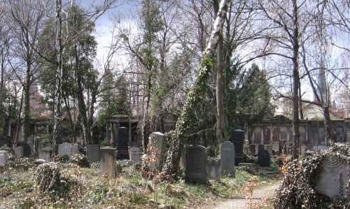 Cmentarz Żydowski we Wrocławiu zdewastowany - Widok na cmentarz przy ul. Ślężnej (Fot. Wikipedia / Julo)