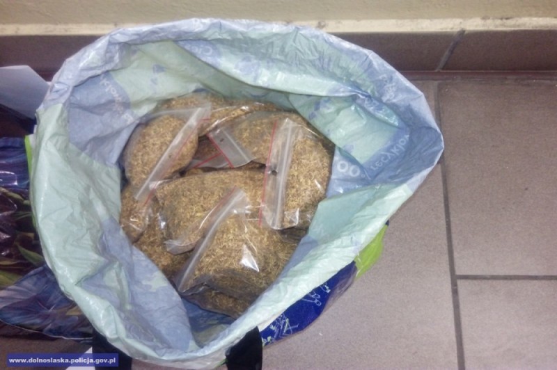 Trzebnica: Nielegalny tytoń znaleziony… w sklepie z wyrobami tytoniowymi [FOTO] - fot. Dolnośląska Policja