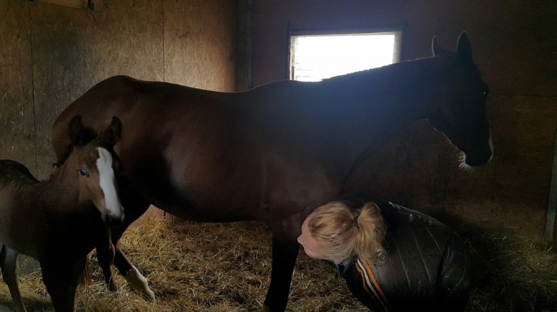 Ruda wraca do zdrowia i ma już potomka [FOTO] - 