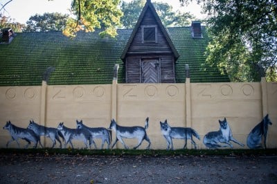 Wrocław: Odsłonięto odnowiony mural na ogrodzeniu wrocławskiego zoo  - 5