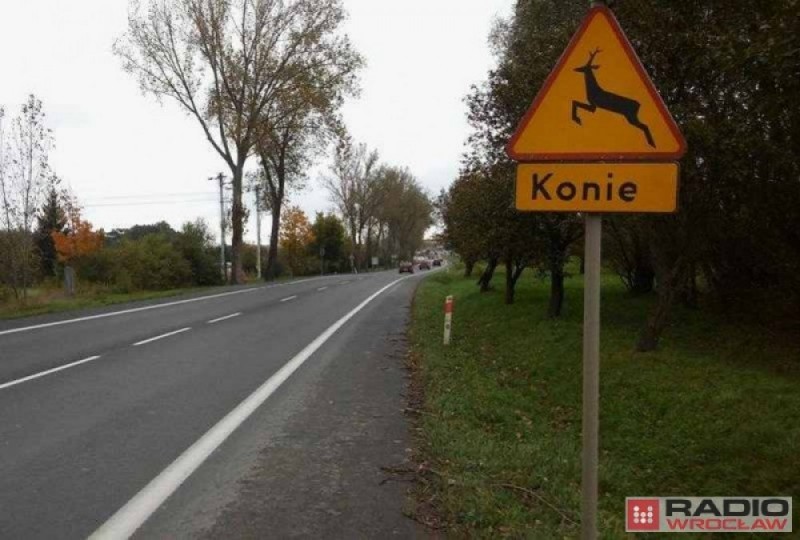 Konie i pies, czyli "dziwne" znaki drogowe [FOTO] - 