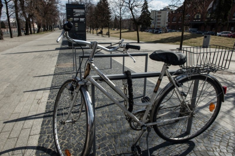 Wrocław: 600 nowych stojaków na rowery -