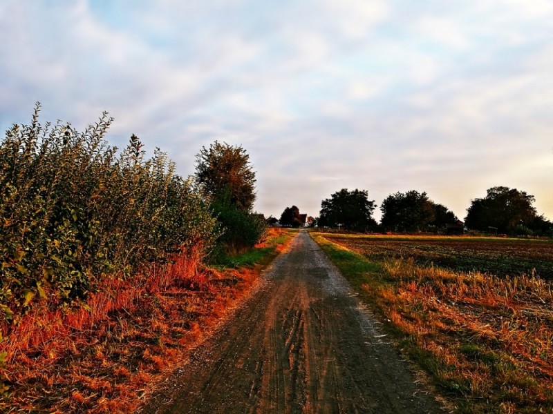 Pogoda: Złota jesień w regionie [SPRAWDŹ] - FOT: CC0 Public Domain