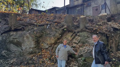 Wycięli drzewa i mają słońce. Mieszkańcy Wałbrzycha odetchnęli z ulgą - 0