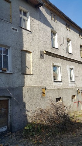 Wycięli drzewa i mają słońce. Mieszkańcy Wałbrzycha odetchnęli z ulgą - 1