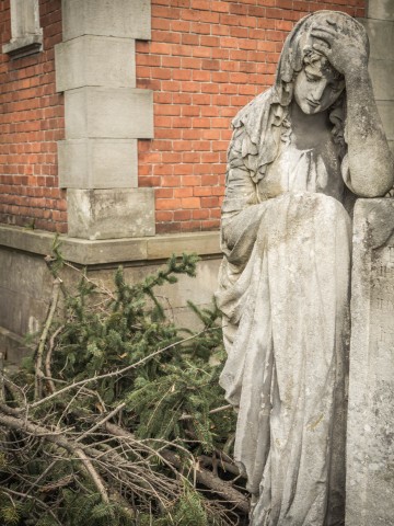 Cmentarz Łyczakowski we Lwowie: "Proście wy Boga o takie mogiły, które łez nie chcą, ni skarg, ni żałości..." [REPORTAŻ] - 85