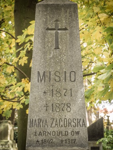 Cmentarz Łyczakowski we Lwowie: "Proście wy Boga o takie mogiły, które łez nie chcą, ni skarg, ni żałości..." [REPORTAŻ] - 54