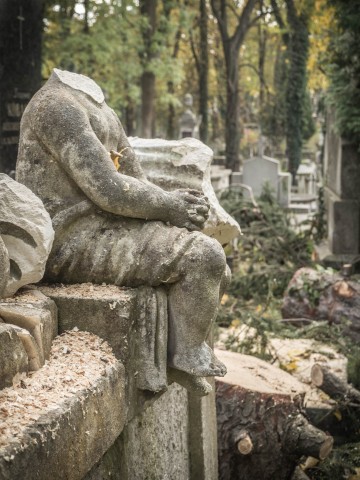 Cmentarz Łyczakowski we Lwowie: "Proście wy Boga o takie mogiły, które łez nie chcą, ni skarg, ni żałości..." [REPORTAŻ] - 79