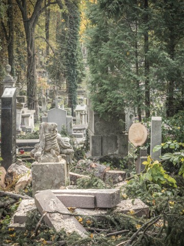 Cmentarz Łyczakowski we Lwowie: "Proście wy Boga o takie mogiły, które łez nie chcą, ni skarg, ni żałości..." [REPORTAŻ] - 81