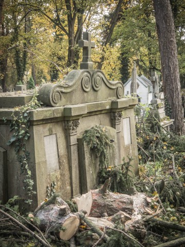 Cmentarz Łyczakowski we Lwowie: "Proście wy Boga o takie mogiły, które łez nie chcą, ni skarg, ni żałości..." [REPORTAŻ] - 82