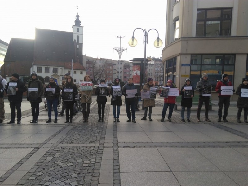 Wrocławianie przeciwko hodowli zwierząt na futra - 