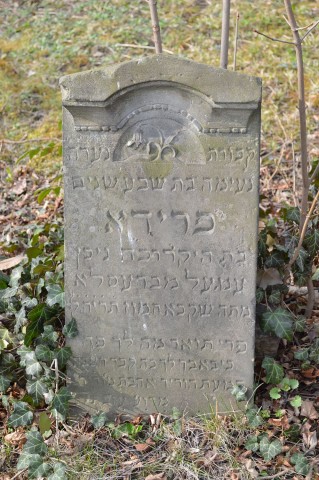 Cmentarz Żydowski w Dzierżoniowie - to miejsce jest zapomniane i nieznane - 0
