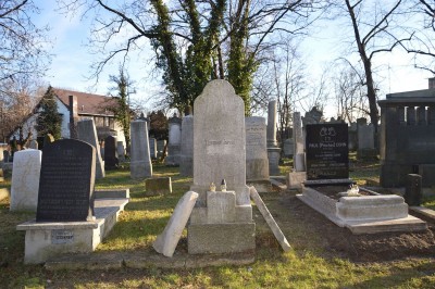Cmentarz Żydowski w Dzierżoniowie - to miejsce jest zapomniane i nieznane - 10